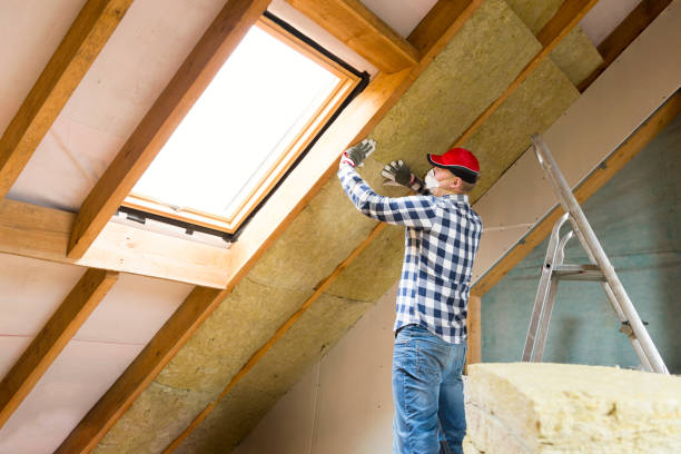 Best Spray Foam Insulation  in Monahans, TX